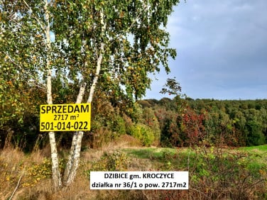 Działka rekreacyjna Dzibice