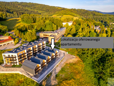 Mieszkanie Wisła