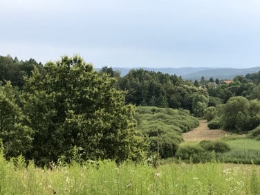 Działka budowlano-rolna Olszowice sprzedam