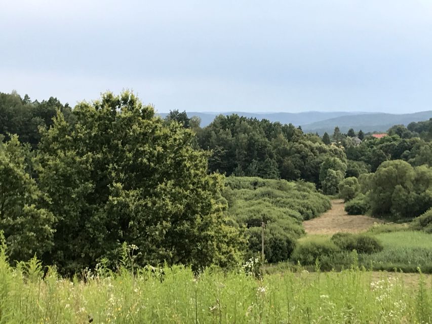 Działka budowlano-rolna Olszowice sprzedam