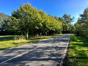 Działka Piasek