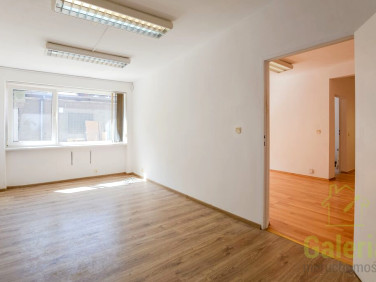 Lokal Szczecin