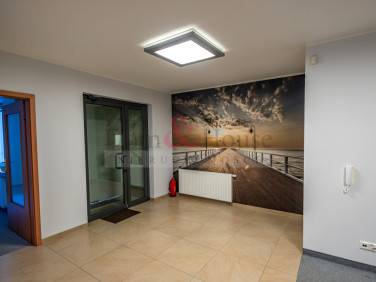 Lokal Gdynia