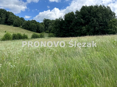 Działka Michałkowa