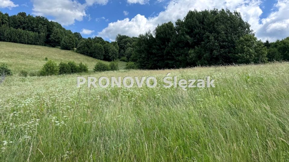 Działka Michałkowa