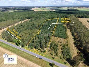 Działka leśna Dobratycze