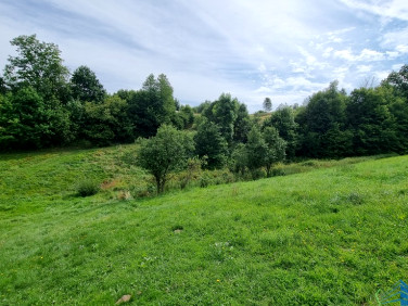 Działka Przysietnica