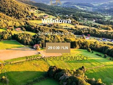 Działka rolna Wiśniowa