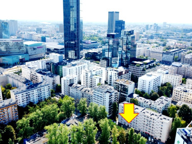 Lokal Warszawa
