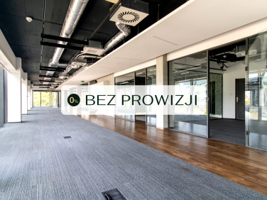 Lokal Kraków