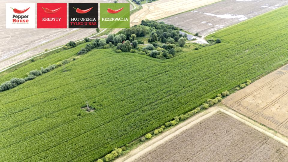 Działka Wielkie Walichnowy
