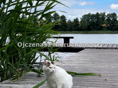 Zabudowana działka Prosperowo