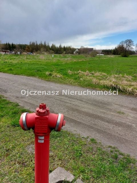 Zdjęcie 2