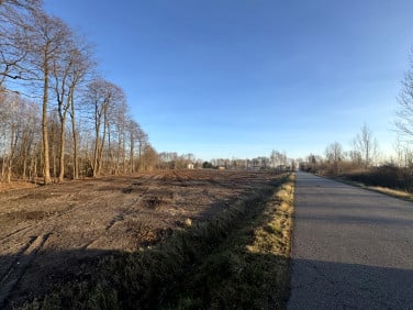 Działka budowlana Dębe Wielkie