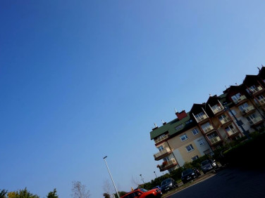 Mieszkanie Toruń