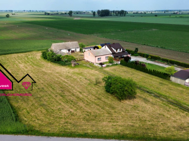 Dom Wiśniewa-Kolonia