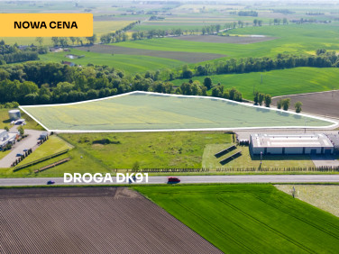 Działka nad jeziorem