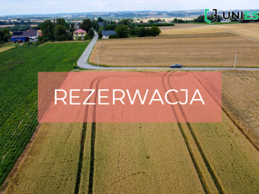 Działka Celiny
