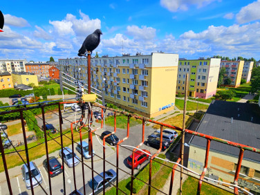 Mieszkanie Inowrocław