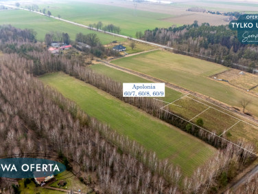 Działka budowlana Wodzierady