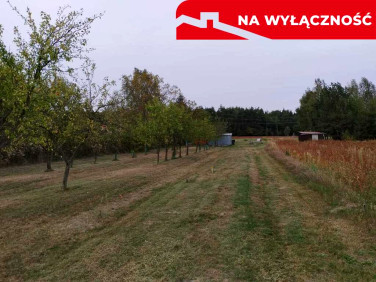 Działka Skrobów-Kolonia
