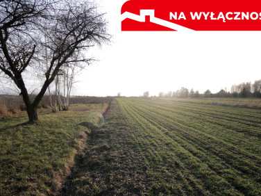 Działka budowlana Skrobów-Kolonia
