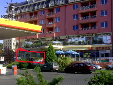 Lokal Wrocław