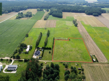 Działka inna Rogowo