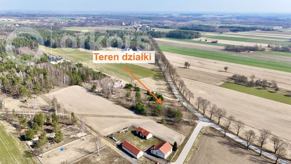 Działka Piskornia