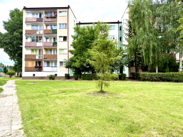 Mieszkanie Siedlce