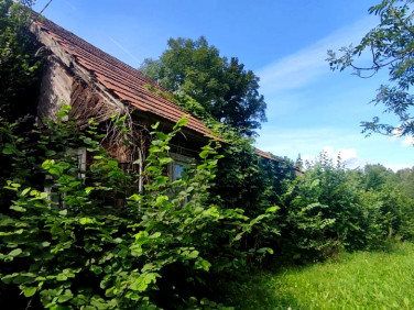 Działka rolna Dryga