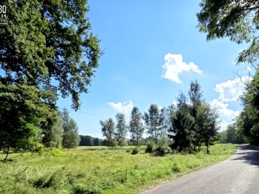 Działka budowlana Kopice