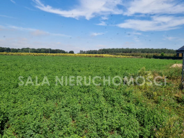 Działka budowlana Mochle