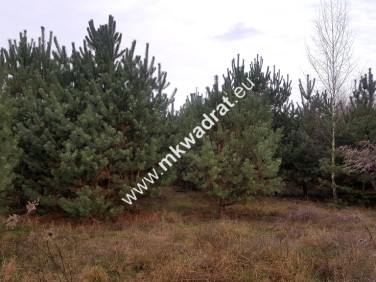 Działka budowlana Osowiec