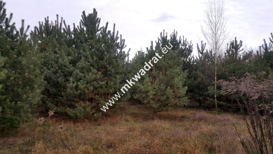 Działka budowlana Osowiec