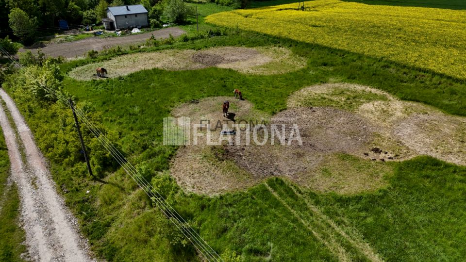 Działka rolna Dalwin
