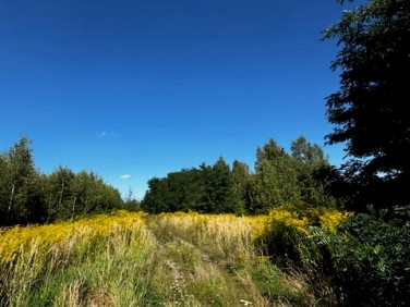 Działka Ksawerów
