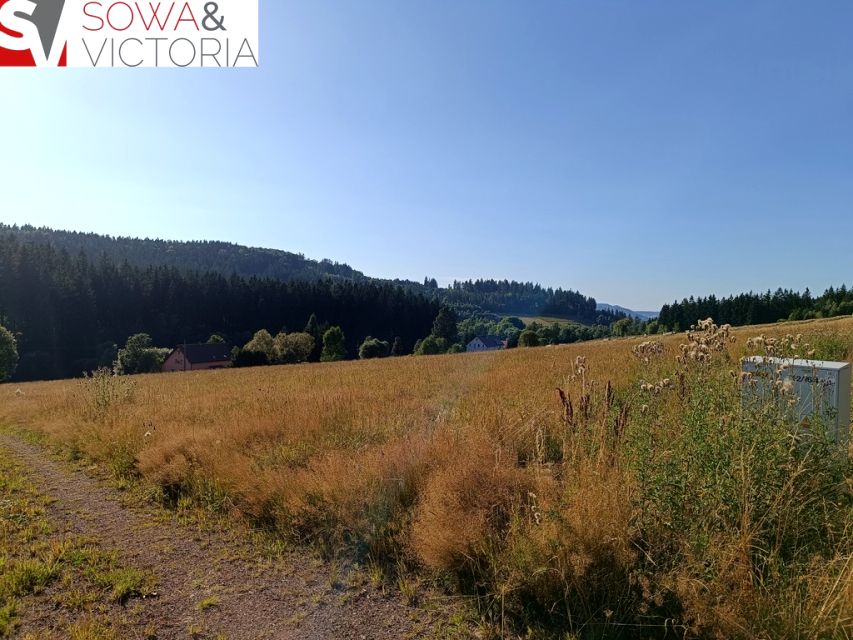 Działka Bartnica