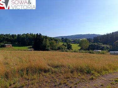 Działka Bartnica