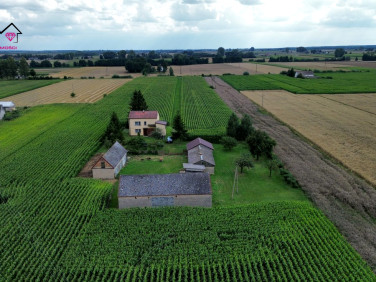 Mieszkanie Dobrosołowo Trzecie