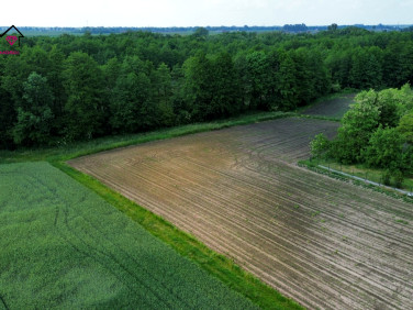 Działka Dobrosołowo