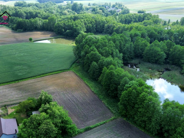 Działka Dobrosołowo