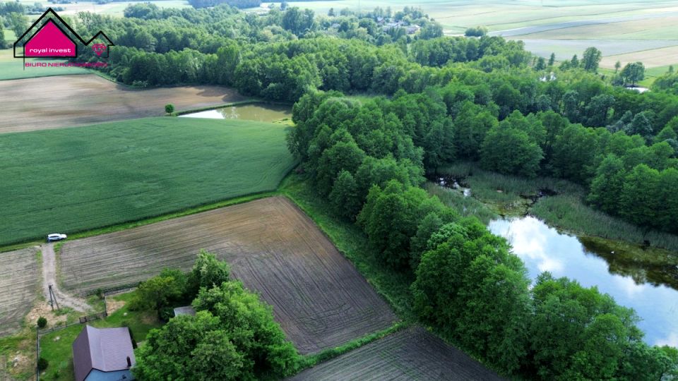 Działka Dobrosołowo