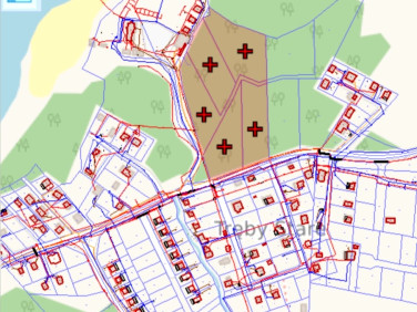 Działka leśna Tręby Stare sprzedam