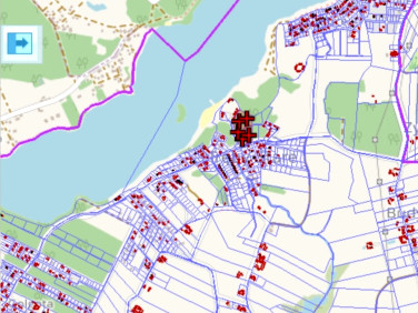 Działka leśna sprzedam