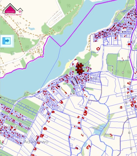 Działka leśna sprzedam