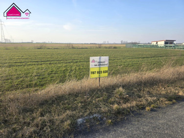 Działka Sławoszewek