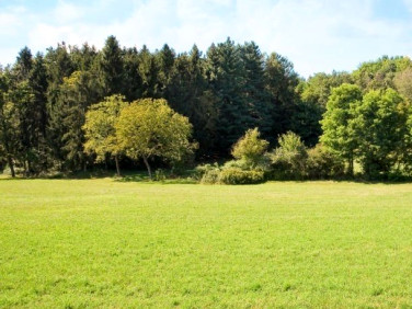 Działka budowlana Halinów
