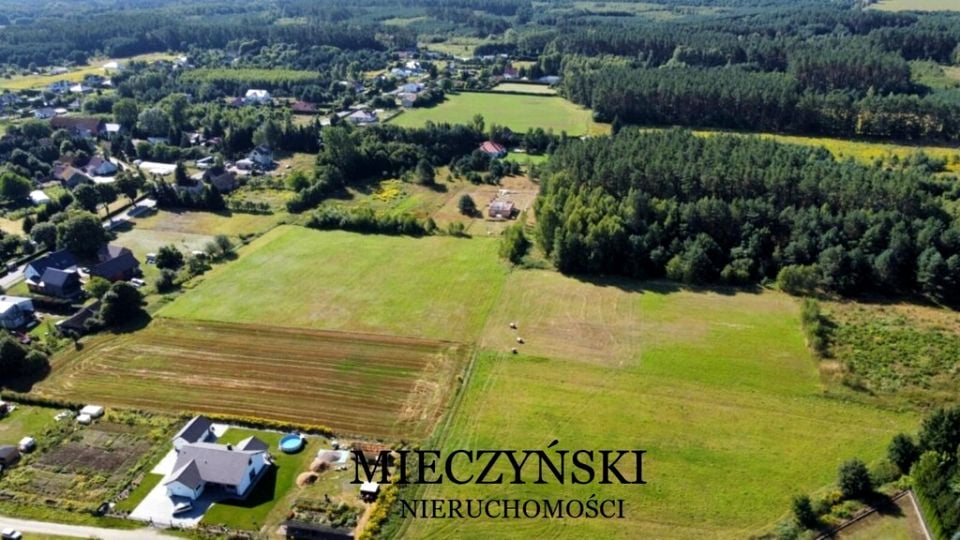 Zdjęcie 2