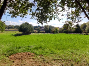 Działka budowlana Rybnik